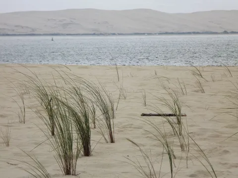 Christmas in Arcachon